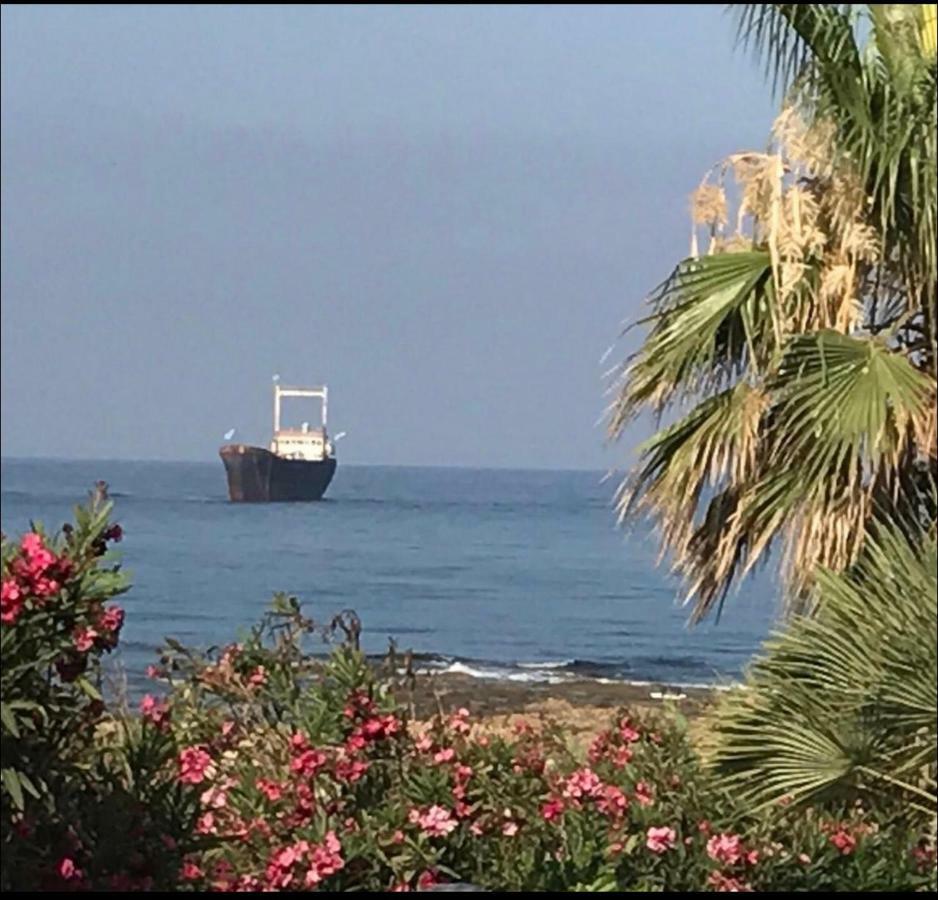 34 Beach Villa Pafos Dış mekan fotoğraf